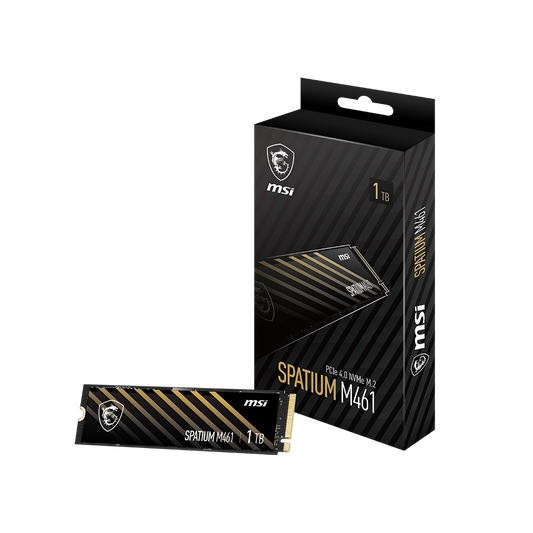 MSI M461 1TB PCIe 4.0 M.2 NVMe SSD